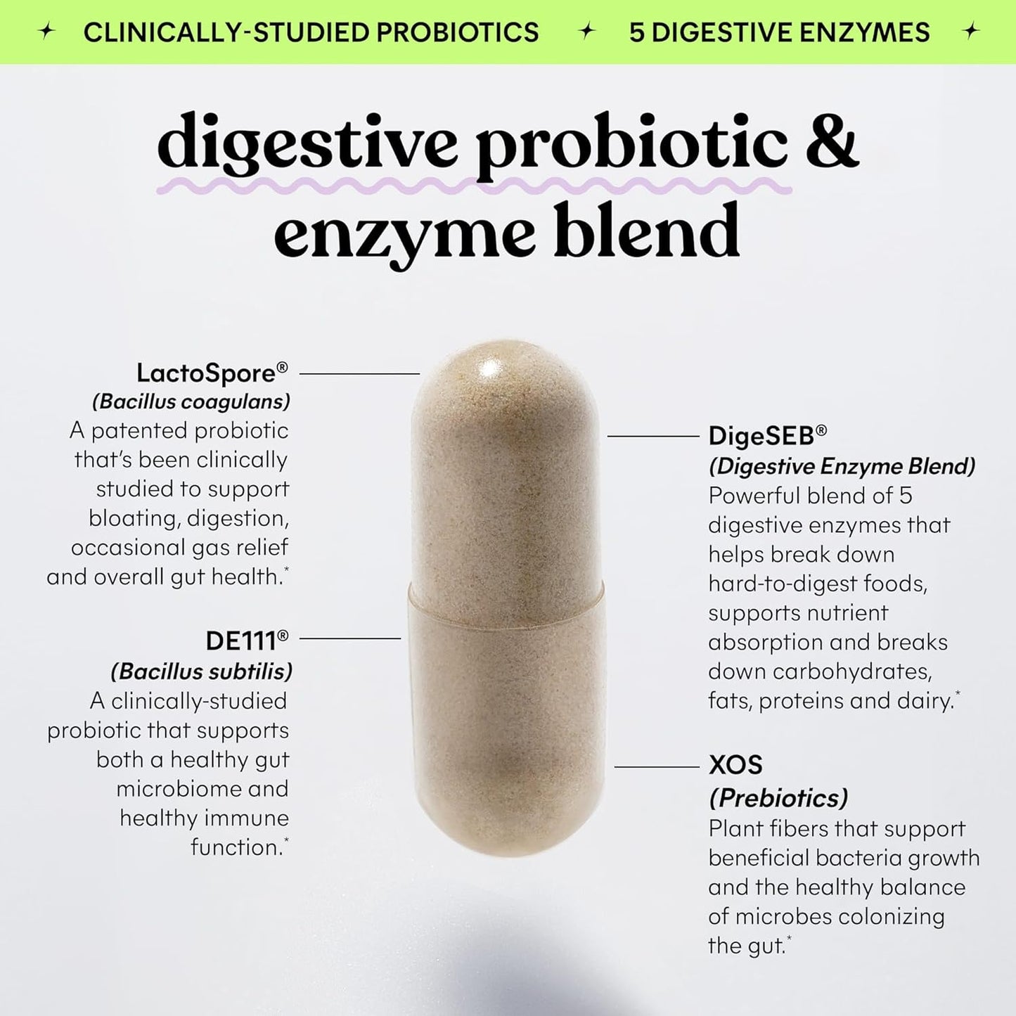 Debloat 3-In-1 Prebiotic, Probiotic & Digestive Enzyme Capsules for Bloating & Gas Relief - 2 Clinically Studied Probiotics W/5 Digestive Enzymes to Improve Digestion, Women & Men, (60 Count)