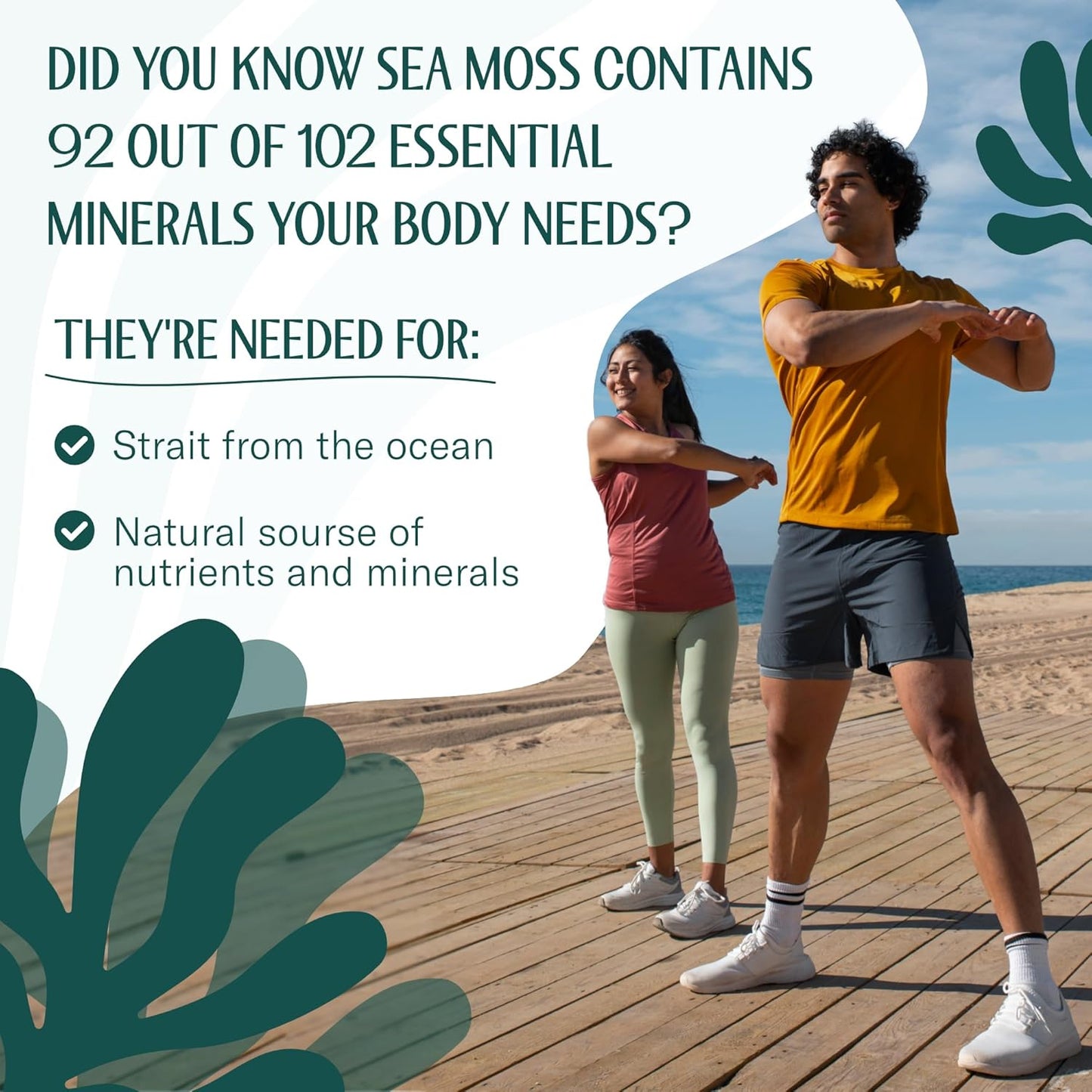 Raw Irish Sea Moss – Wildcrafted Sun-Dried Seaweed for Homemade Gel – 16Oz (1 Lb) Makes up to 200Oz Gel – Atlantic Harvested